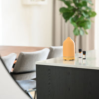 Ceramic aroma diffuser - Desert