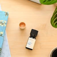 Focus Diffuser Set
