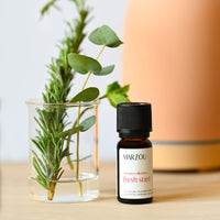 Fresh Start Diffuser Blend